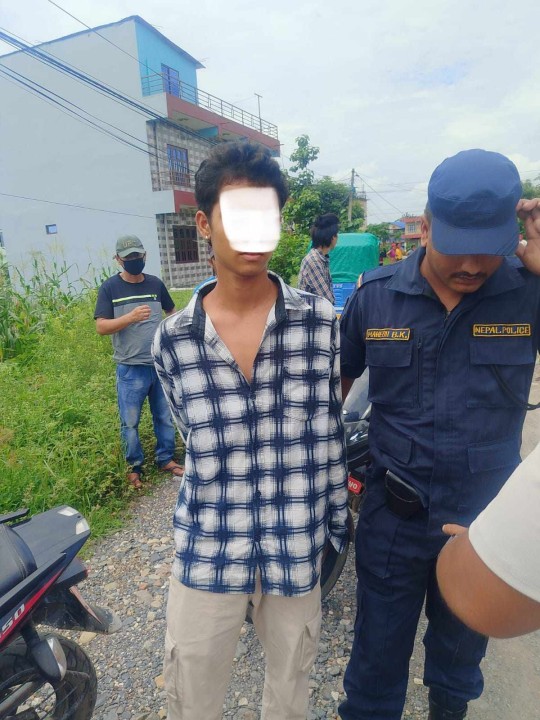 hatyarako pakrau.jpg